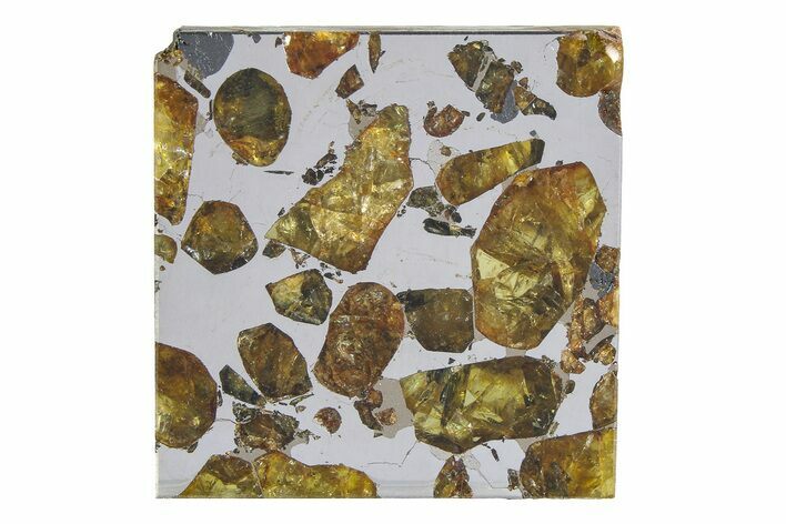 Brahin Pallasite Meteorite ( g) Slice - Belarus #351936